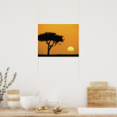 Eénfasige Acacia-boom, gesilhoueteerd bij zonsopga Poster (Keuken)