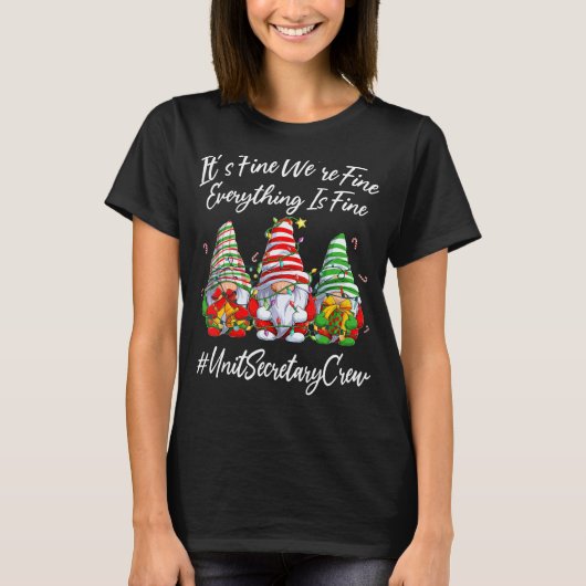 Eenheidssecretaris Grappig Alles is prima kerst T-shirt (Voorkant)