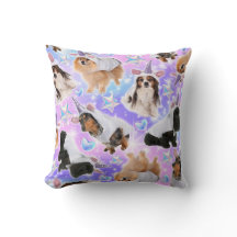 Eenhoorn Puppies