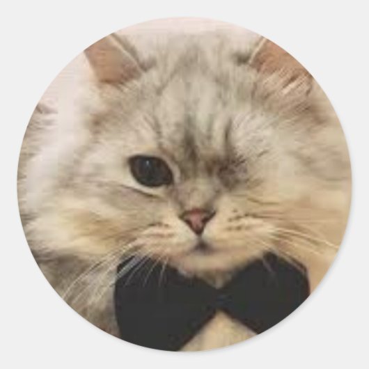 eenogige kat ronde sticker (Voorkant)