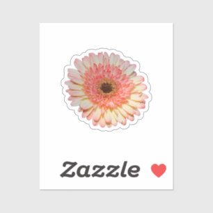 Eenroze kiezelbloem sticker