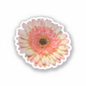 Eenroze kiezelbloem sticker (Voorkant)