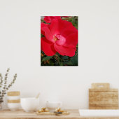 eentonige sleutelbloem poster (Keuken)