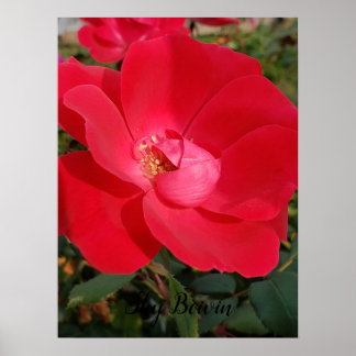 eentonige sleutelbloem poster