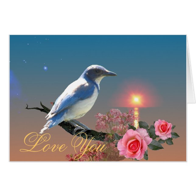 Eenvoud (Voorkant Horizontaal)