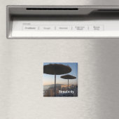 Eenvoud Magneet (Insitu (Vaatwasser))