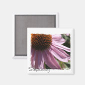 Eenvoud Magneet (Voorkant / Achterkant)