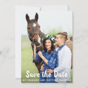 Eenvoudig aangepast fotoweddenschap Pet Pet Save The Date