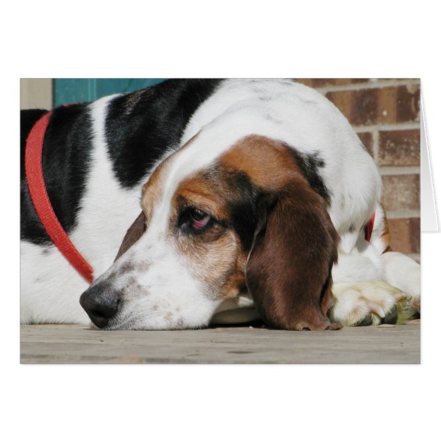 Eenvoudig Basset Hound-kaart (Voorkant Horizontaal)