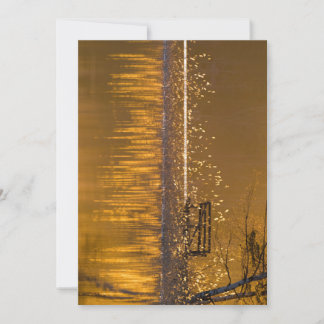 Eenvoudig bij het meer in het gouden licht