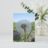 Eenvoudig Dandelion, verzend Ugly Briefkaarten Col (Staand voorkant)