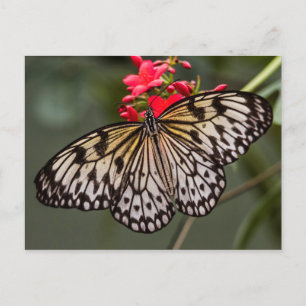 Eenvoudig een papieren vliegende vlinder briefkaart