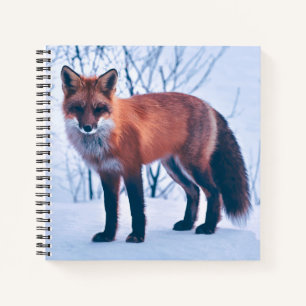 Eenvoudig elegant Red Fox-kunstwerk Laptop Notitieboek