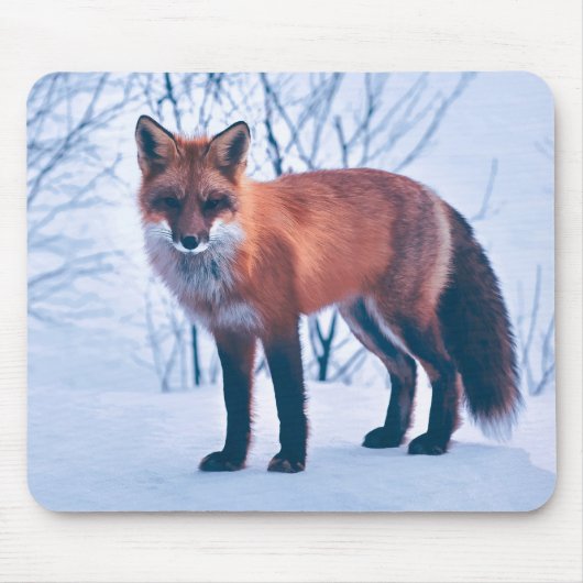 Eenvoudig Elegant Red Fox-kunstwerk | Muismat (Voorkant)