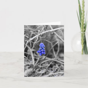Eenvoudig gekleurde grafische hyacinth-selectiekle bedankkaart
