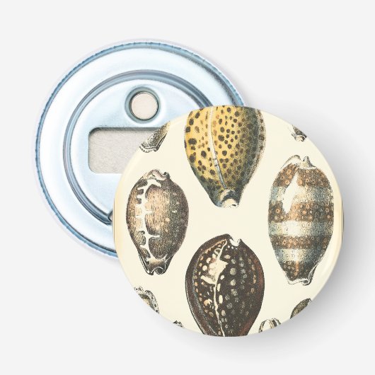 Eenvoudig gevormde zeeschelpen button flesopener (Voorkant)