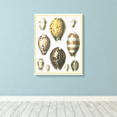 Eenvoudig gevormde zeeschelpen canvas afdruk (Insitu (Houten vloer))