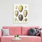 Eenvoudig gevormde zeeschelpen canvas afdruk (Insitu (Woonkamer))