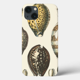 Eenvoudig gevormde zeeschelpen iPhone 13 hoesje