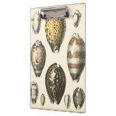 Eenvoudig gevormde zeeschelpen klembord (Links)