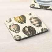 Eenvoudig gevormde zeeschelpen onderzetter (Linkerzijde)