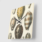 Eenvoudig gevormde zeeschelpen vierkante klok (Hoek)