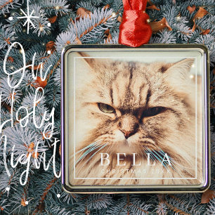 Eenvoudig Lijst Moderne grafische familie Pet Phot Metalen Ornament