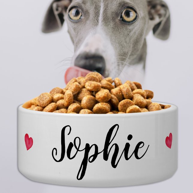 Eenvoudig modern gepersonaliseerd Schattige honden Voerbakje (Creator heeft geüpload)