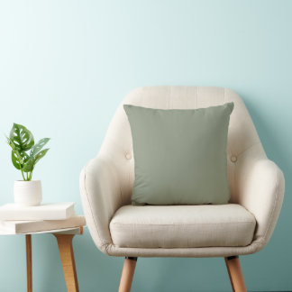Eenvoudig Modern Plain Sage Groen Kussen