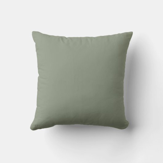 Eenvoudig Modern Plain Sage Groen Kussen (Achterkant)