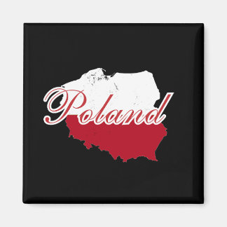 Eenvoudig Modern Polen Vlag kaart Souvenir Magneet