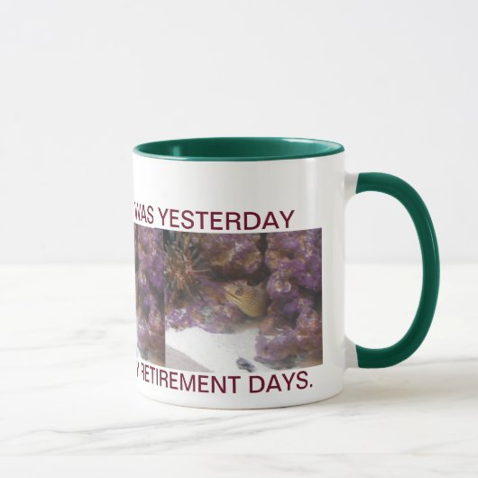 EENVOUDIG OPTREDEN IN FLORIDA. MOK (Rechts)