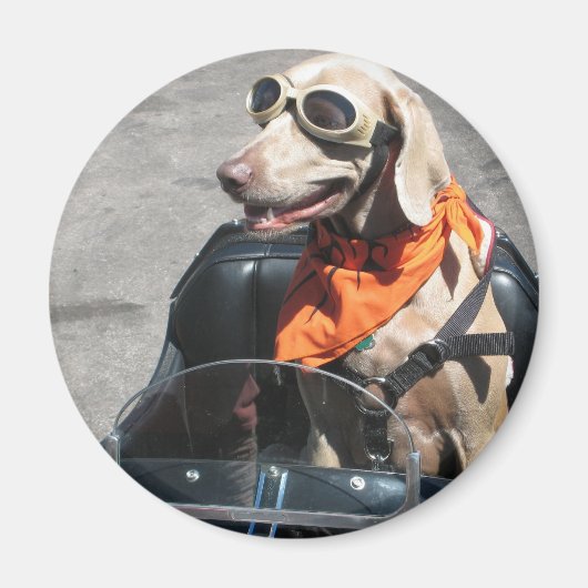 Eenvoudig rijder magneet (Voorkant)