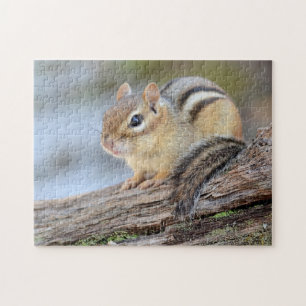Eenvoudig Schattige Little Chipmunk Legpuzzel