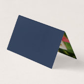 Eenvoudig script met fotokaartje voor het register visitekaartjes (Achterkant)