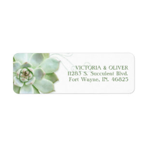 Eenvoudig Succulent Cactus Weddenschap Etiket