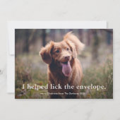 Eenvoudig Type Funny Pet Kerstmis Feestdagenkaart (Voorkant)