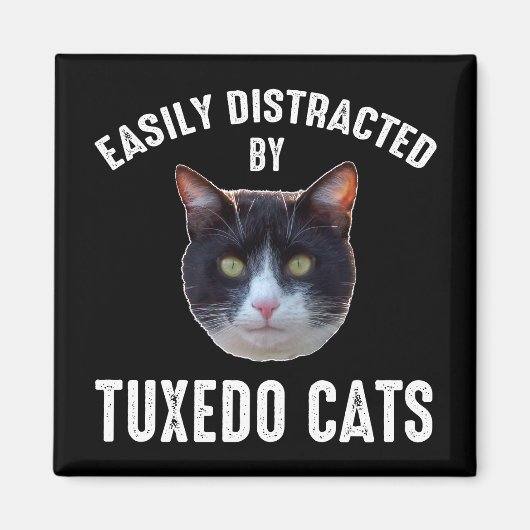 Eenvoudig verstoord door Tuxedo-katten Magneet (Voorkant)