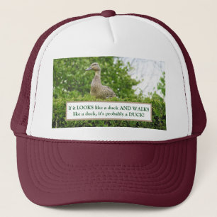 EENVOUDIG ZITTEN OP HEDGE/ALS HET ALS EEN EENVOUDI TRUCKER PET