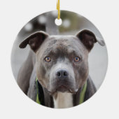Eenvoudige aangepaste Pit Bull Dog Foto Keramisch Ornament (Achterkant)