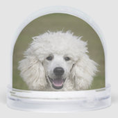 Eenvoudige aangepaste poedel hond foto sneeuwbol (Achterkant)