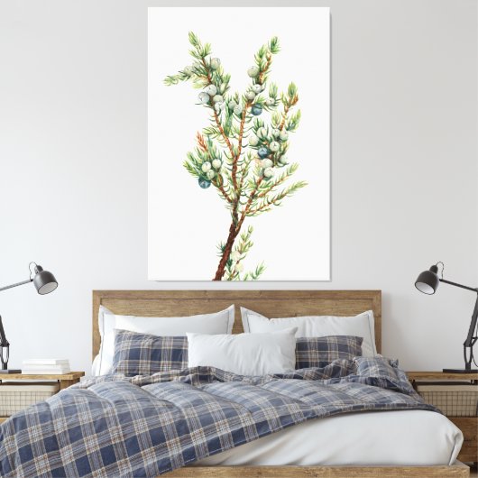 Eenvoudige  Botanische Mountain Juniper Canvas Afdruk (Insitu (Slaapkamer))