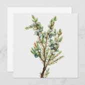Eenvoudige Botanische Mountain Juniper Kaart (Voorkant / Achterkant)