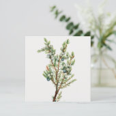 Eenvoudige Botanische Mountain Juniper Kaart (Staand voorkant)