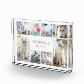 Eenvoudige Cat Pet Fotocollage Fotoblokken (Rechts)