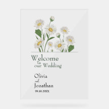 Eenvoudige Daisy Wild Garden