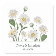 Eenvoudige Daisy Wild Garden