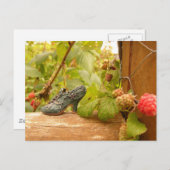 Eenvoudige dingen briefkaart (Voorkant / Achterkant)