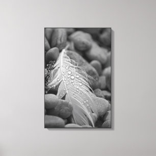 Eenvoudige druppels zwart-wit Zwanenwater Canvas Afdruk