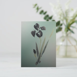 Eenvoudige elegante moderne Ukiyo-e Japanse Iris Briefkaart